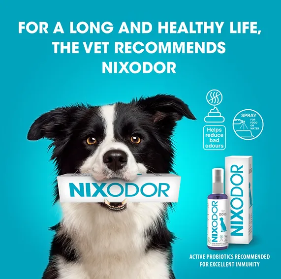 Ad Dog Nixodor