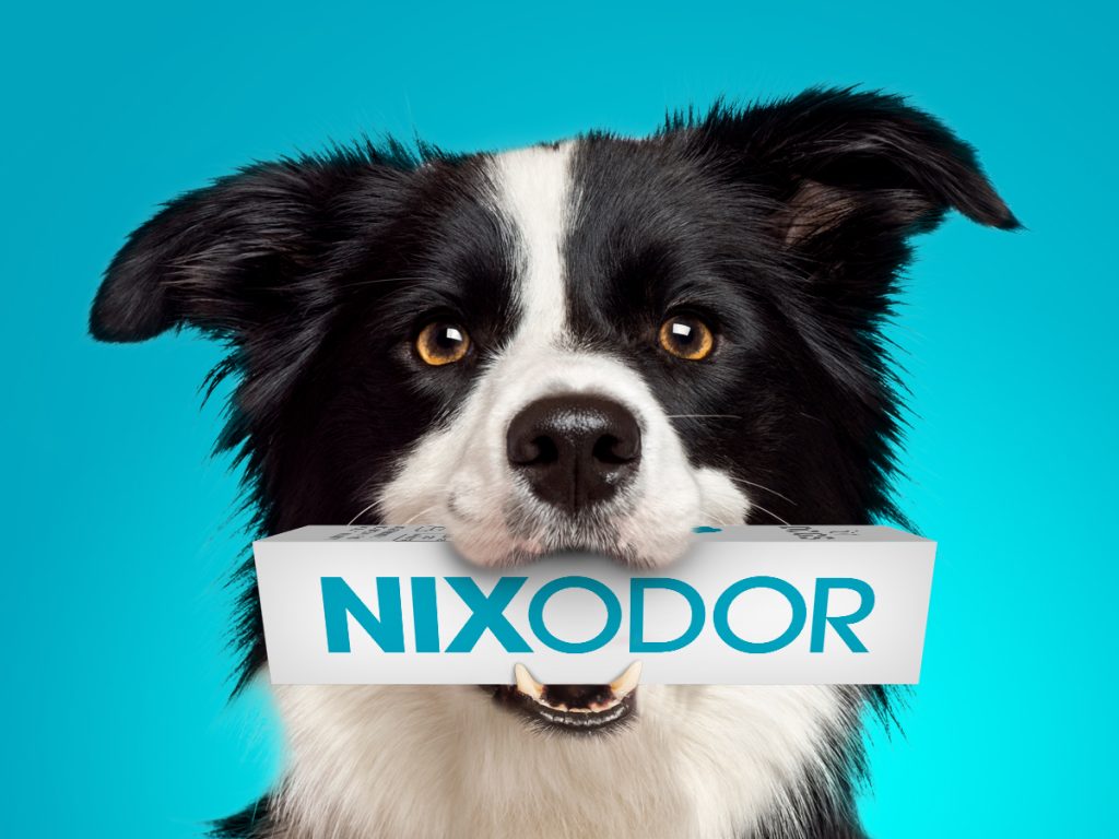 Branding Nixodor