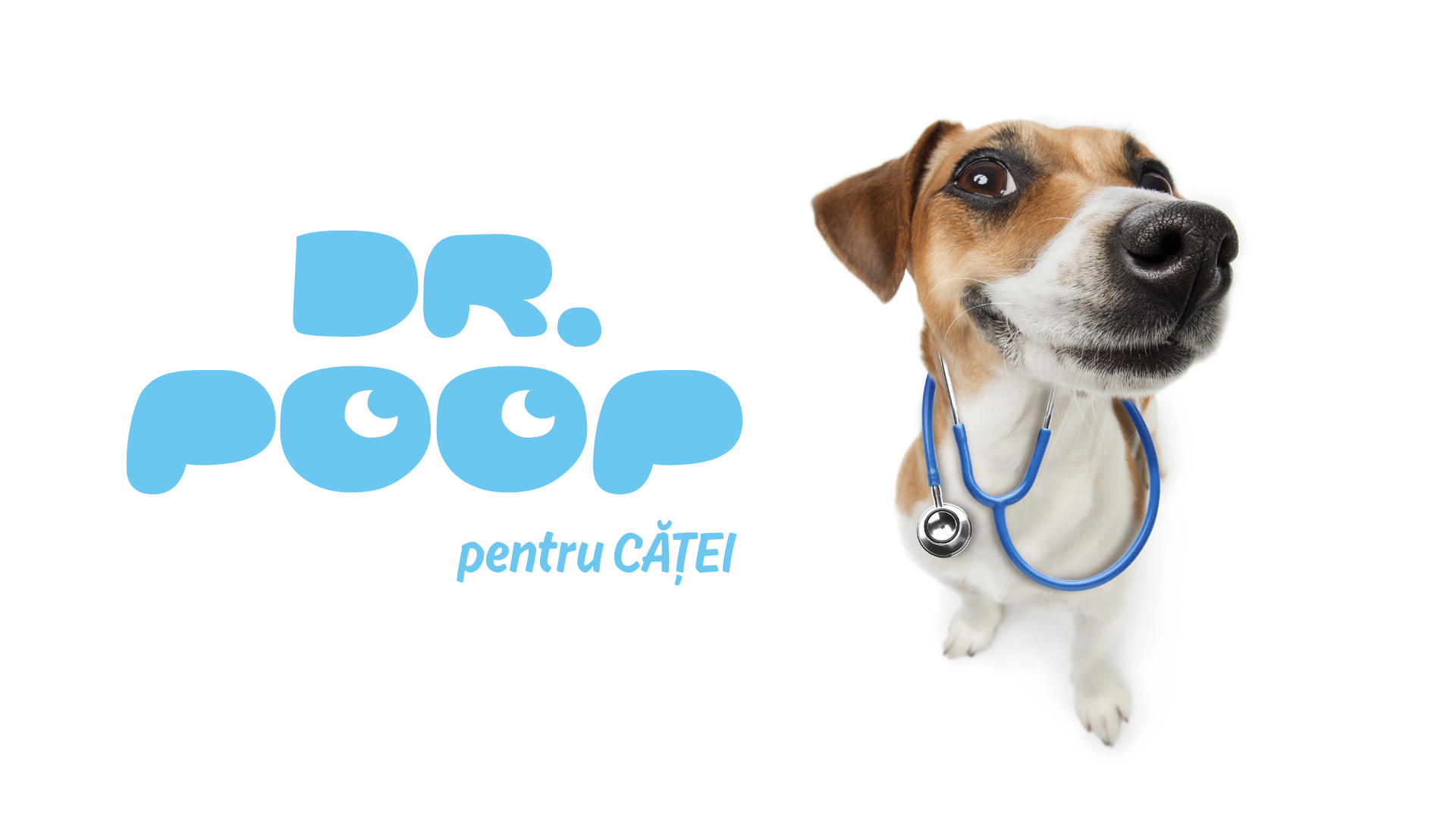 Nume & Logo Design Dr. Poop